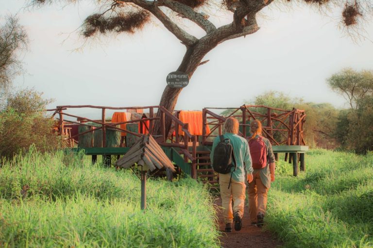 Embracing the Great Outdoors: A Journey of Discovery